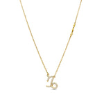 14K Yellow Gold Diamond Capricorn Necklace, front view